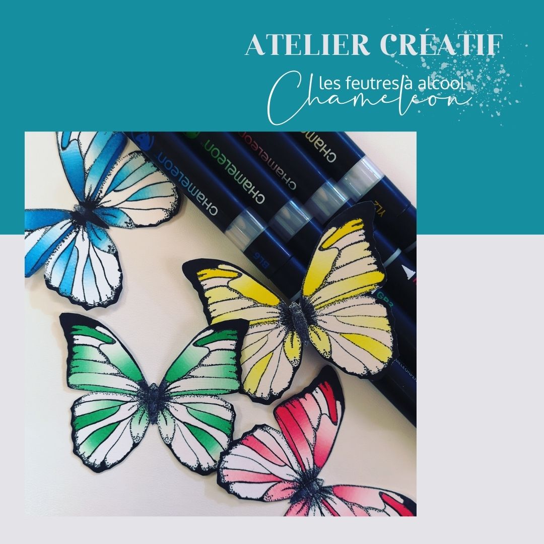 Atelier-feutres-Chameleon