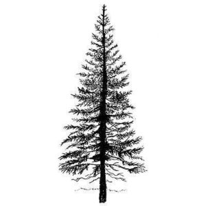 tampon-sapin-fir-tree-1-lavinia-lav094
