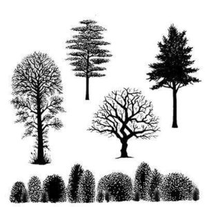 tampons-arbres-tree-scene-lavinia-lav219