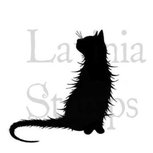 tampon chat de Lavinia