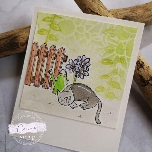 carte anniversaire chat - Aall and create - Scrap d'Enhaut
