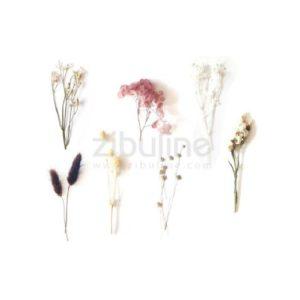 Fleurs séchées naturelle - camaïeu Marron - Zibuline - Scrap d'Enhaut