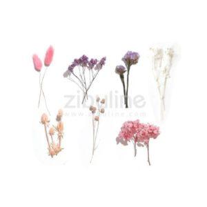 Fleurs séchées naturelle - camaïeu Rose - Zibuline - Scrap d'Enhaut