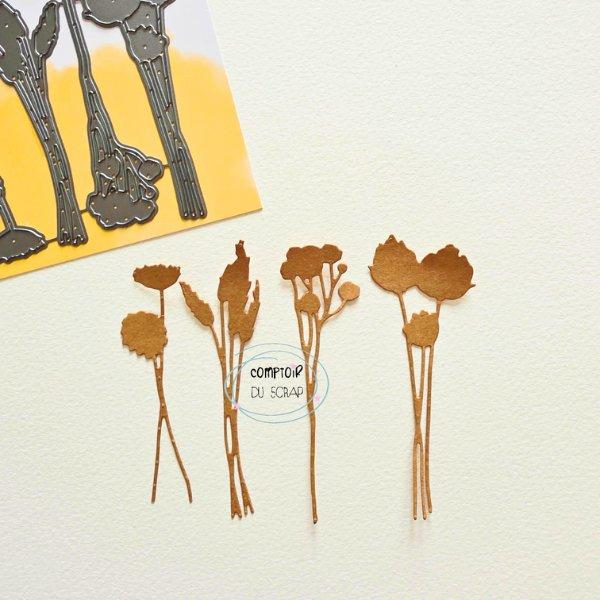 Die Graminées - Comptoir du scrap - Scrap d'Enhaut