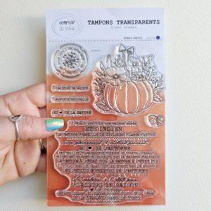 Tampons Plaisirs de saison - Comptoir du scrap - Scrap d'Enhaut