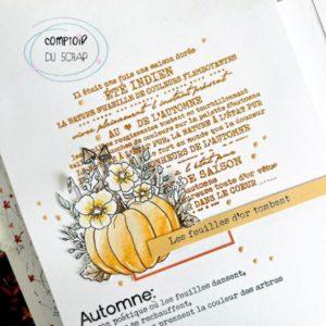 Tampons Plaisirs de saison visuel - Comptoir du scrap - Scrap d'Enhaut