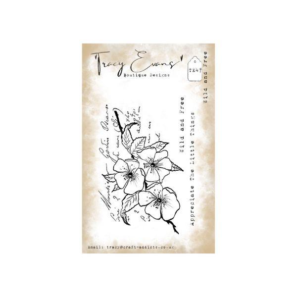 Tampons clear Wild and Free - Tracy Evans - Scrap d'Enhaut